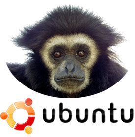 Ubuntu Gusty Gibbon - Tribe 5