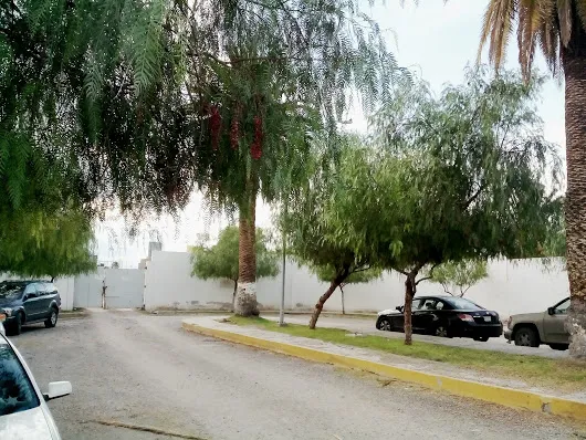 La Cámara Junior Tengo buenos recuerdos de este lugar, de niño mi padre nos l...