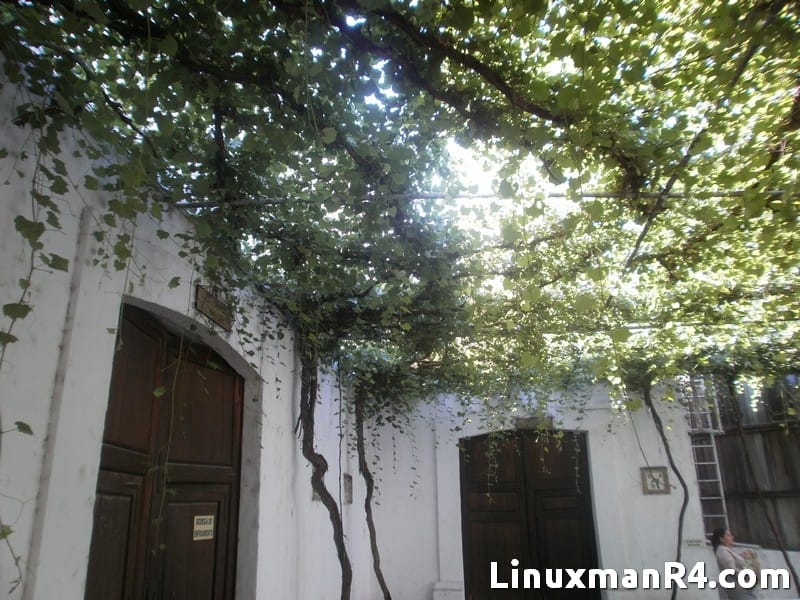 casa-madero-004