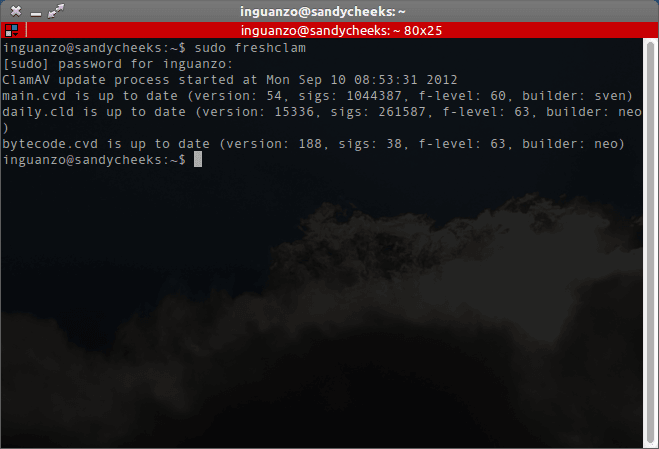 El comando sudo freshclam funcionando correctamente.