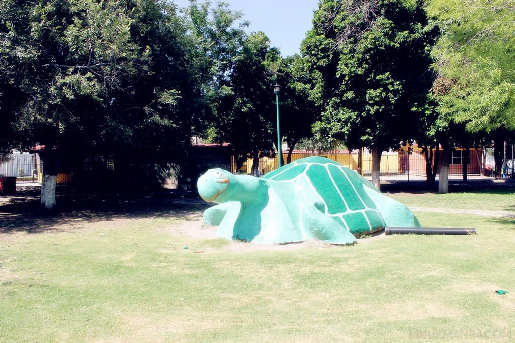 Plaza de la Tortuga en Torreón Jardín