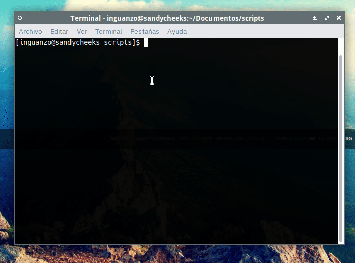 python_ping en acción